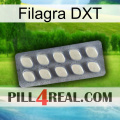 Filagra DXT 08